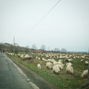 driving-below-carpathians-2